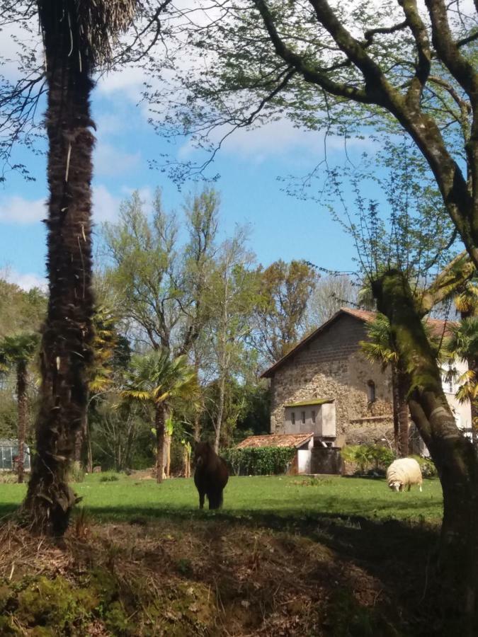 La Chapelle Du Chateau Gite Pouillon Exterior foto